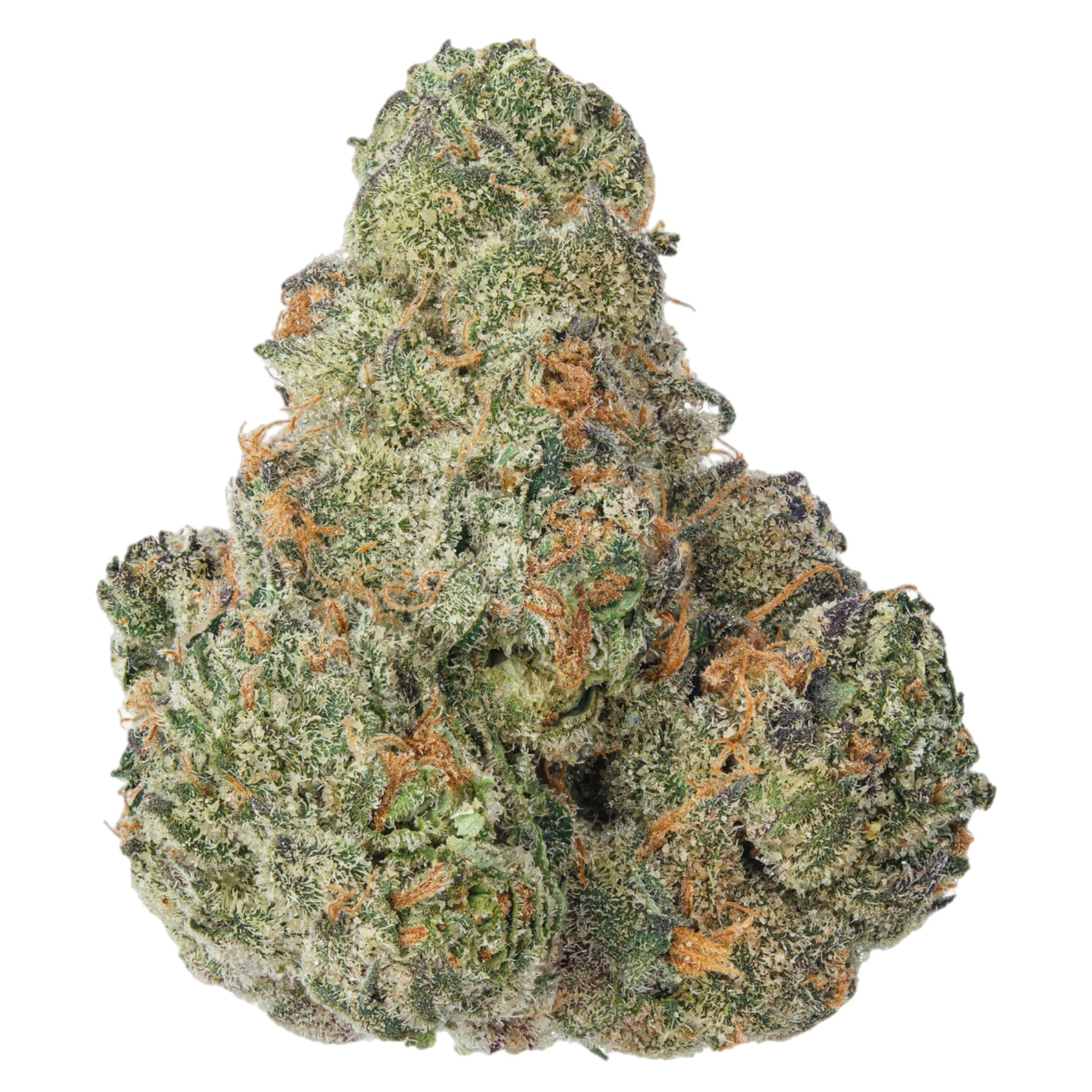 A close-up image of a cannabis bud with a snow-like appearance due to its white trichomes.
