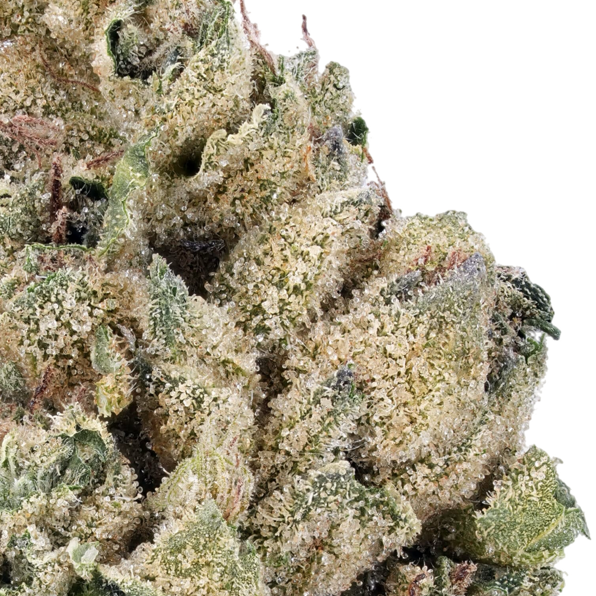 Cheetah Piss THCa