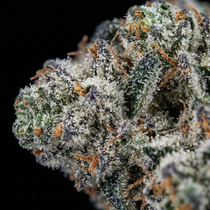 Lemon Cherry Gelato