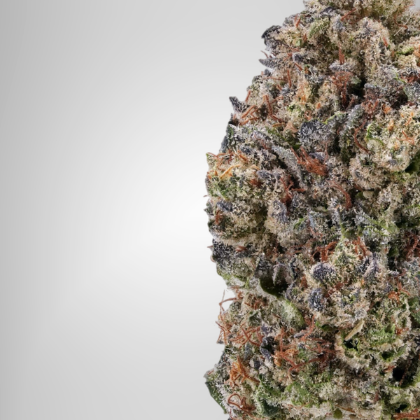 Buy cannabis online Official Farmacy