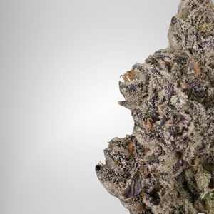 Close-up of a cannabis bud with a white background Official Farmacy