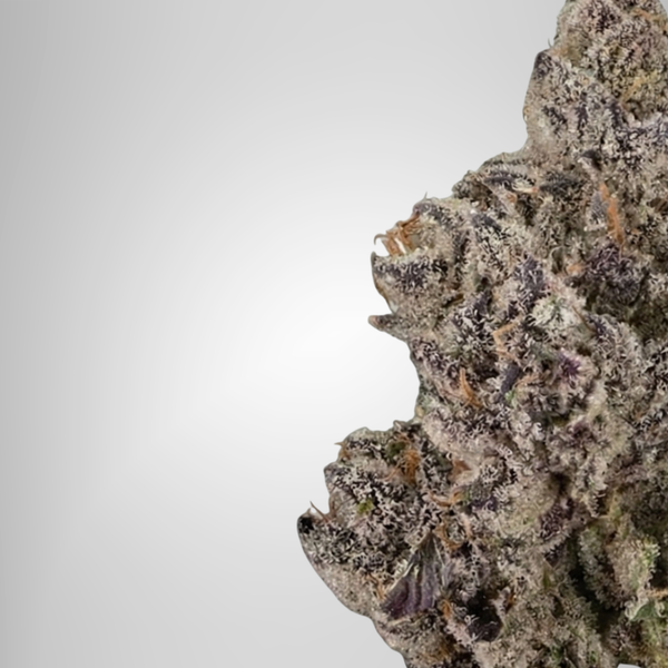 Close-up of a cannabis bud with a white background Official Farmacy