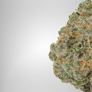 Close-up of a cannabis bud on a white background official farmacy