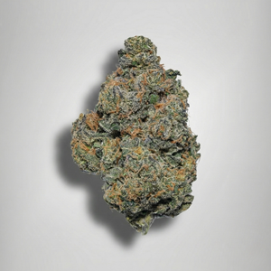 High quality green and orange cannabis buds on a gray background. Official Farmacy