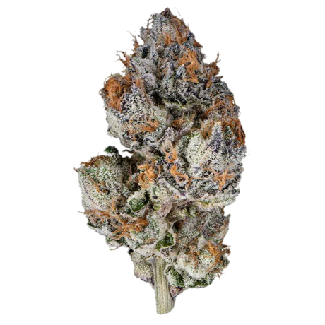 Close-up of a cannabis bud with frosty trichomes on a white background