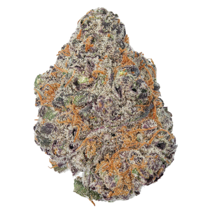 Papaya x GMO THCa