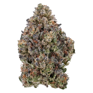 Baby Joker THCa