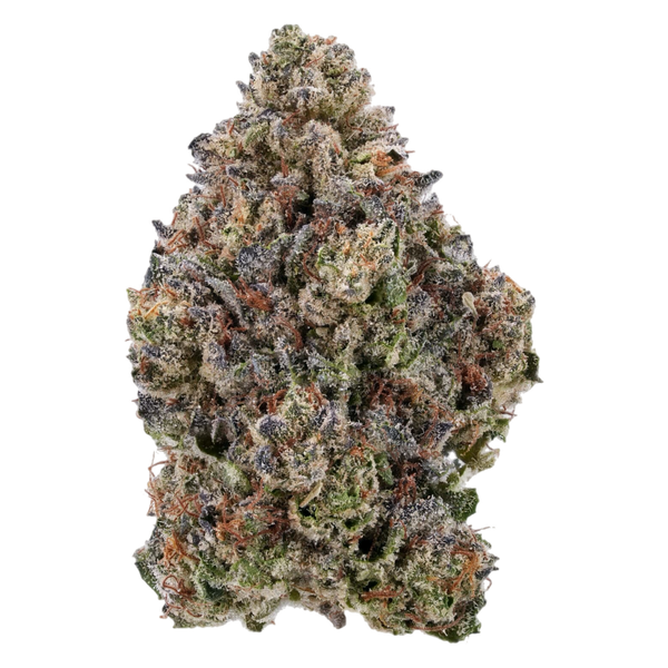 Baby Joker THCa