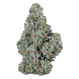 Jet Fuel Gelato THCa