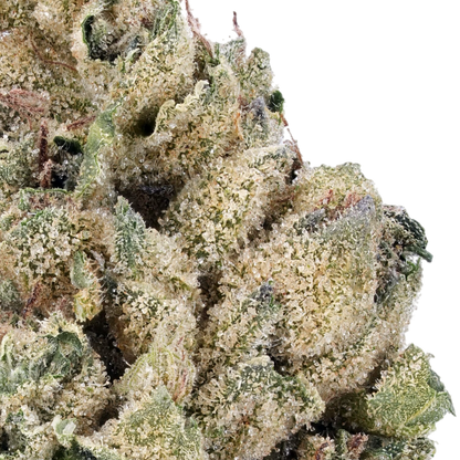 Cheetah Piss THCa