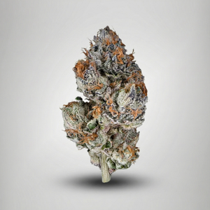 Close-up of a cannabis bud on a light gray background Official Farmacy