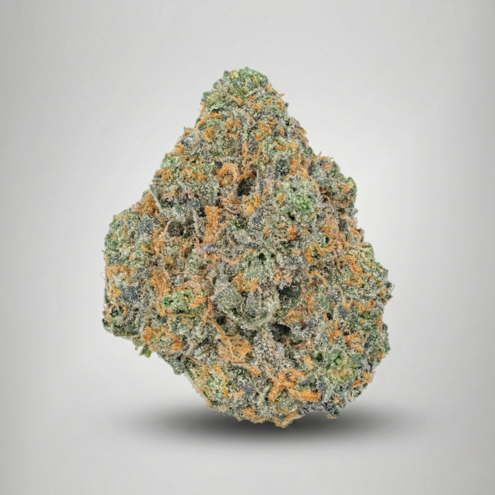 RS 11 weed strain official farmacy. Close-up of a cannabis bud on a gray background