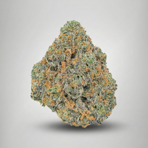 RS 11 weed strain official farmacy. Close-up of a cannabis bud on a gray background