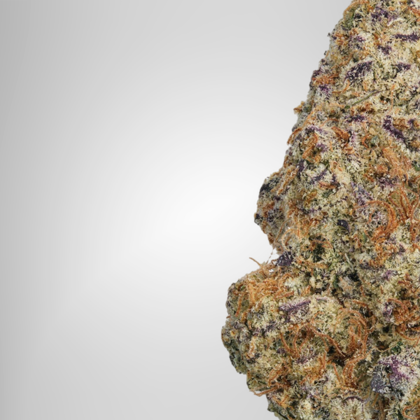 Close-up of a cannabis bud on a white background Official Farmacy