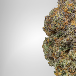 Close-up of a cannabis bud on a white background official farmacy