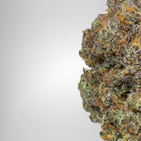 Close-up of a cannabis bud on a white background official farmacy